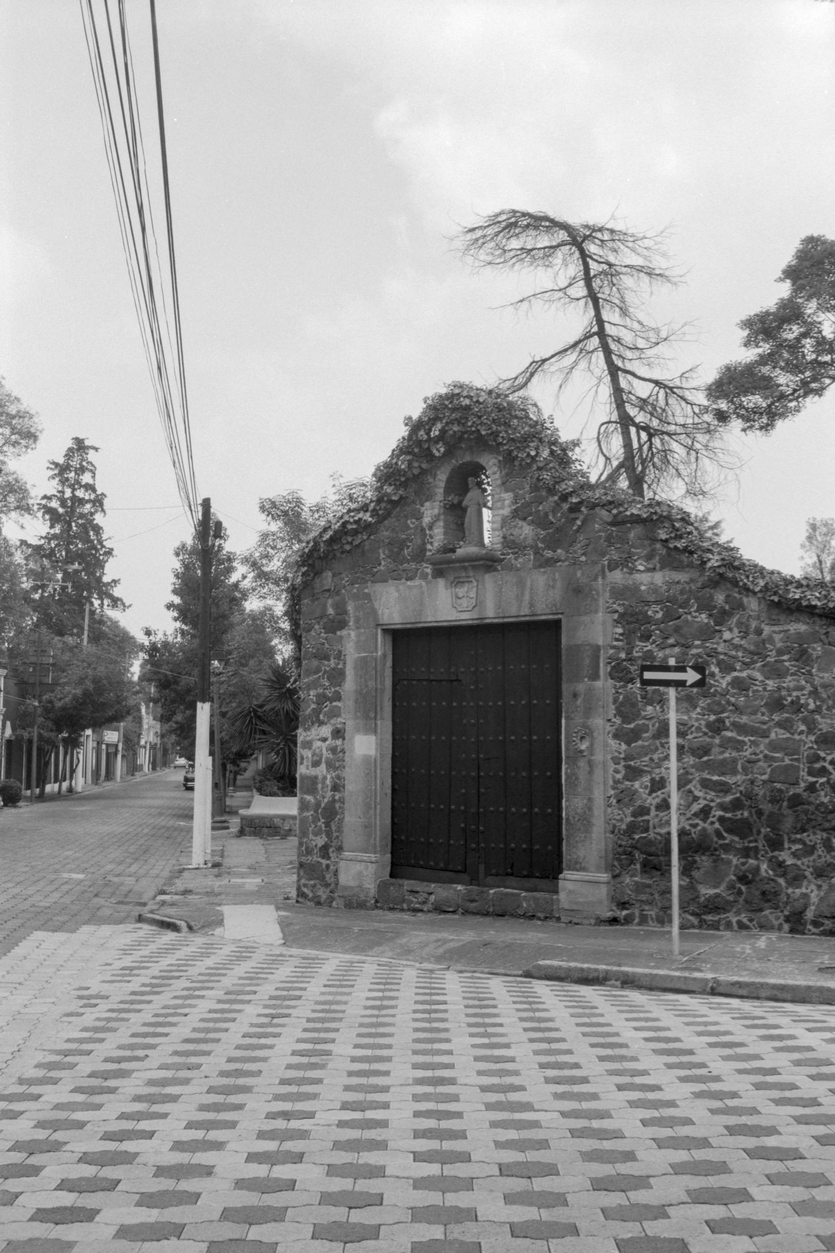 AHP FilmScan 240807 0509